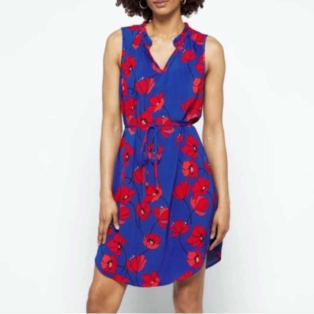 Market & Spruce Jeanie Ruffle Blue with Red Poppies Sleeveless Dress MP